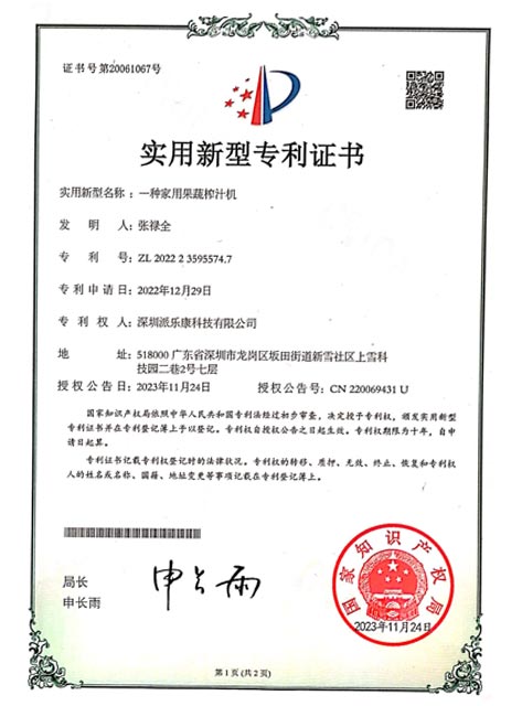 Patent Certificate 30