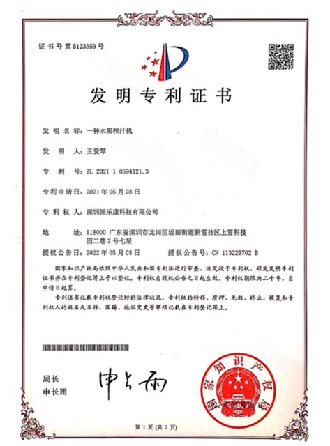 Patent Certificate 31