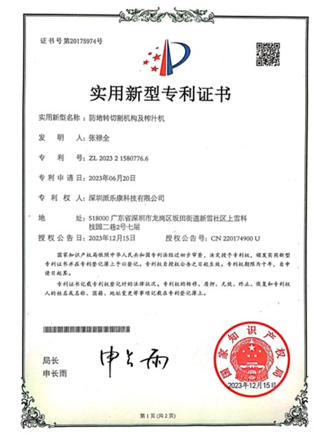 Patent Certificate 39