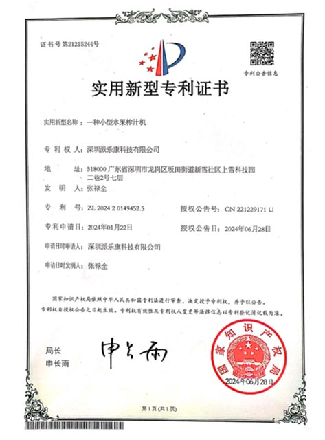 Patent Certificate 41